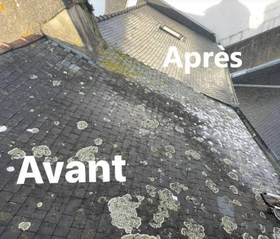 Nettoyage de toiture Lorient 